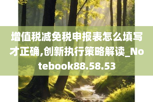 增值税减免税申报表怎么填写才正确,创新执行策略解读_Notebook88.58.53