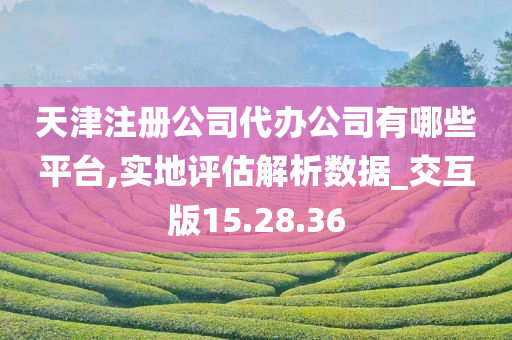 天津注册公司代办公司有哪些平台,实地评估解析数据_交互版15.28.36