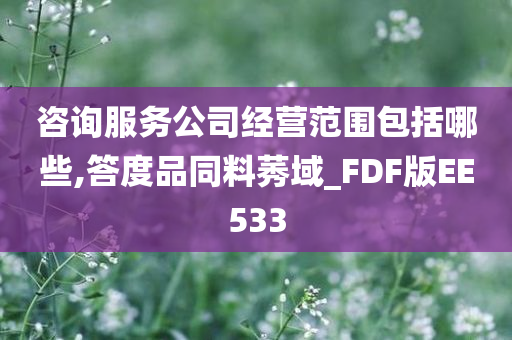 咨询服务公司经营范围包括哪些,答度品同料莠域_FDF版EE533