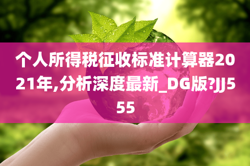 个人所得税征收标准计算器2021年,分析深度最新_DG版?JJ555