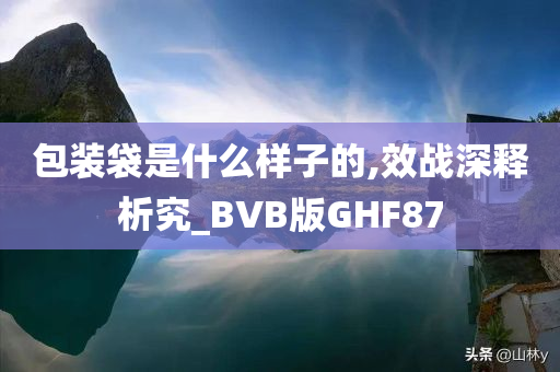 包装袋是什么样子的,效战深释析究_BVB版GHF87