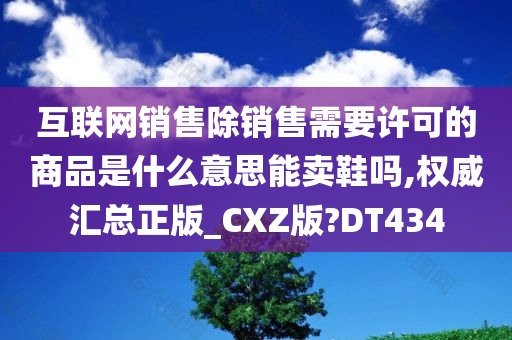 互联网销售除销售需要许可的商品是什么意思能卖鞋吗,权威汇总正版_CXZ版?DT434