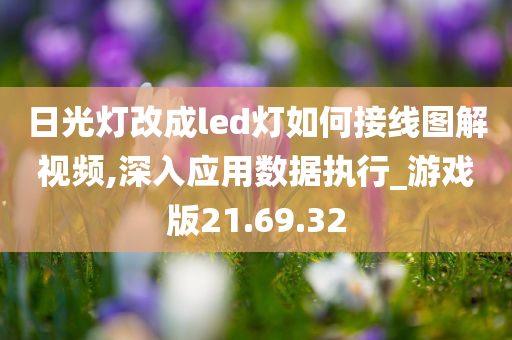 日光灯改成led灯如何接线图解视频,深入应用数据执行_游戏版21.69.32