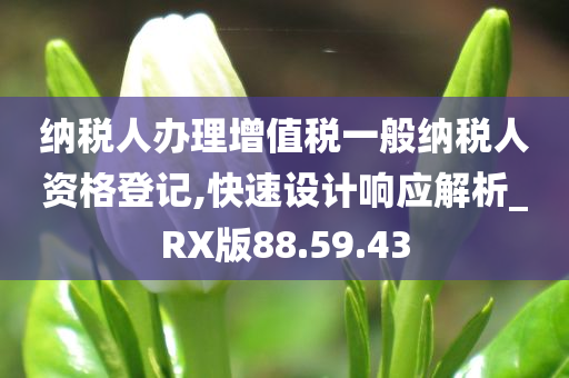 纳税人办理增值税一般纳税人资格登记,快速设计响应解析_RX版88.59.43