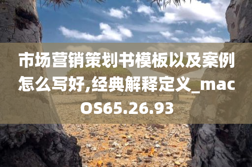 市场营销策划书模板以及案例怎么写好,经典解释定义_macOS65.26.93