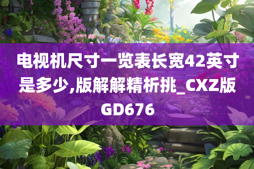 电视机尺寸一览表长宽42英寸是多少,版解解精析挑_CXZ版GD676