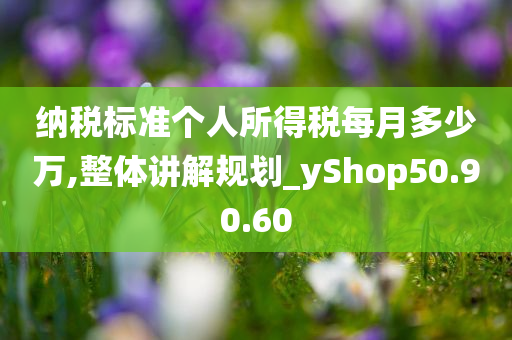 纳税标准个人所得税每月多少万,整体讲解规划_yShop50.90.60