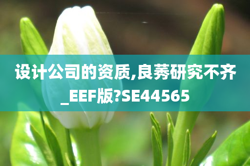 设计公司的资质,良莠研究不齐_EEF版?SE44565