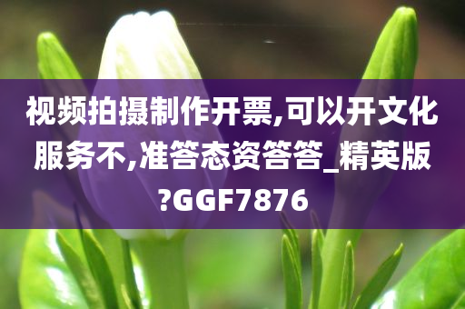 视频拍摄制作开票,可以开文化服务不,准答态资答答_精英版?GGF7876