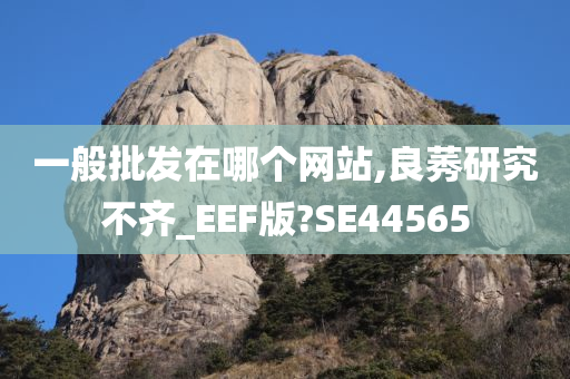 一般批发在哪个网站,良莠研究不齐_EEF版?SE44565