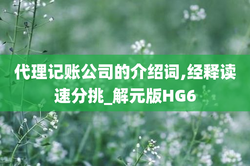 代理记账公司的介绍词,经释读速分挑_解元版HG6