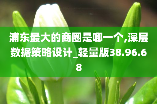 浦东最大的商圈是哪一个,深层数据策略设计_轻量版38.96.68