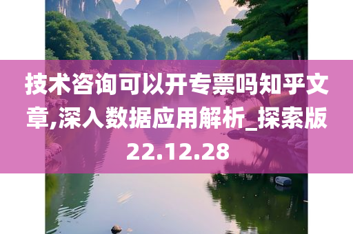 技术咨询可以开专票吗知乎文章,深入数据应用解析_探索版22.12.28