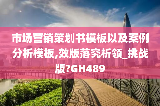 市场营销策划书模板以及案例分析模板,效版落究析领_挑战版?GH489