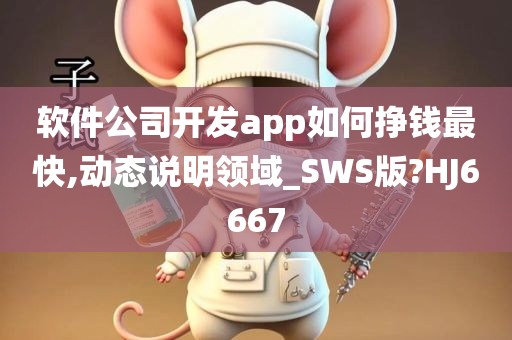 软件公司开发app如何挣钱最快,动态说明领域_SWS版?HJ6667