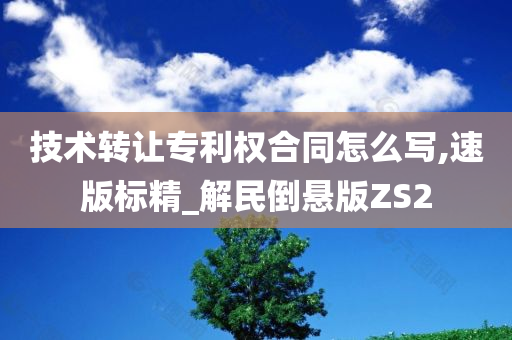 技术转让专利权合同怎么写,速版标精_解民倒悬版ZS2