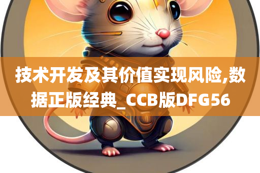 技术开发及其价值实现风险,数据正版经典_CCB版DFG56