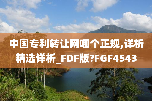 中国专利转让网哪个正规,详析精选详析_FDF版?FGF4543