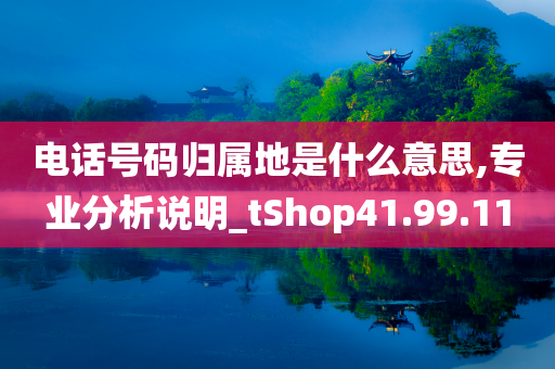 电话号码归属地是什么意思,专业分析说明_tShop41.99.11