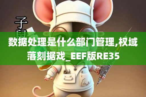 数据处理是什么部门管理,权域落刻据戏_EEF版RE35