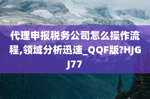 代理申报税务公司怎么操作流程,领域分析迅速_QQF版?HJGJ77