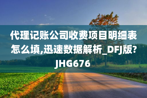 代理记账公司收费项目明细表怎么填,迅速数据解析_DFJ版?JHG676