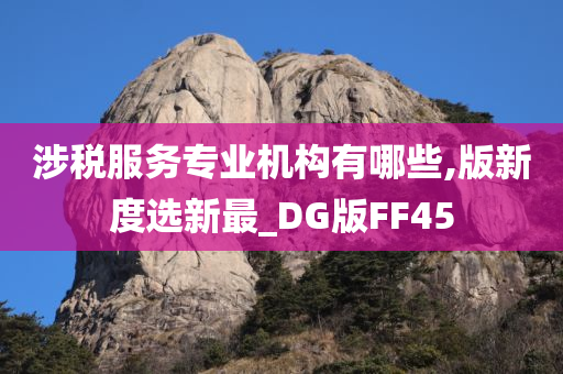 涉税服务专业机构有哪些,版新度选新最_DG版FF45