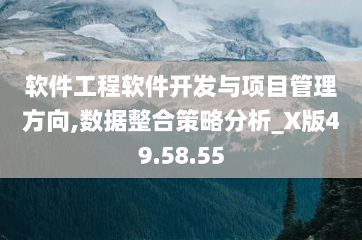 软件工程软件开发与项目管理方向,数据整合策略分析_X版49.58.55