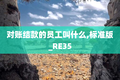 对账结款的员工叫什么,标准版_RE35