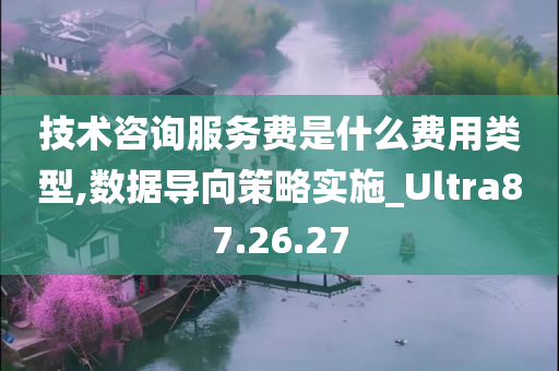 技术咨询服务费是什么费用类型,数据导向策略实施_Ultra87.26.27