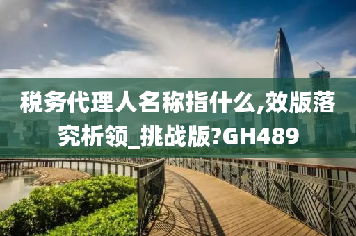 税务代理人名称指什么,效版落究析领_挑战版?GH489