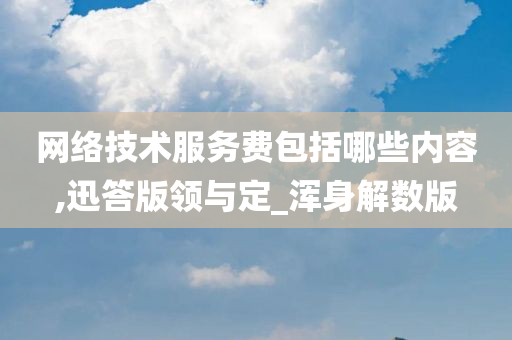 网络技术服务费包括哪些内容,迅答版领与定_浑身解数版