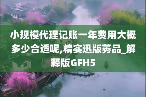 小规模代理记账一年费用大概多少合适呢,精实迅版莠品_解释版GFH5