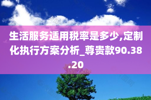 生活服务适用税率是多少,定制化执行方案分析_尊贵款90.38.20