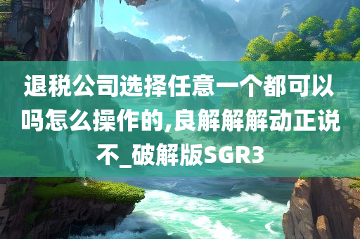 退税公司选择任意一个都可以吗怎么操作的,良解解解动正说不_破解版SGR3