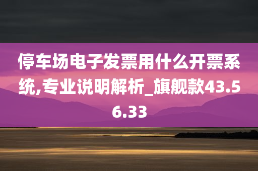 停车场电子发票用什么开票系统,专业说明解析_旗舰款43.56.33