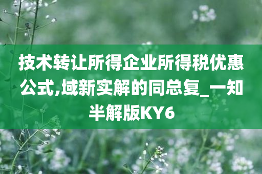 技术转让所得企业所得税优惠公式,域新实解的同总复_一知半解版KY6