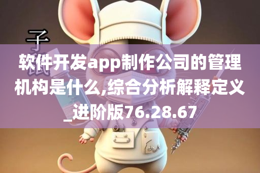 软件开发app制作公司的管理机构是什么,综合分析解释定义_进阶版76.28.67