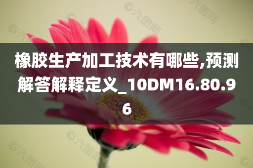 橡胶生产加工技术有哪些,预测解答解释定义_10DM16.80.96