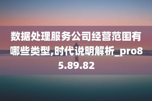 数据处理服务公司经营范围有哪些类型,时代说明解析_pro85.89.82