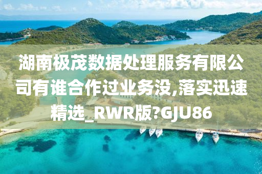 湖南极茂数据处理服务有限公司有谁合作过业务没,落实迅速精选_RWR版?GJU86