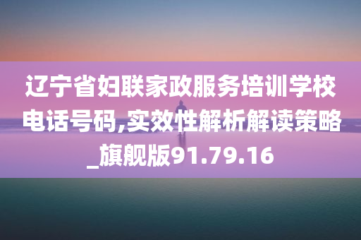 辽宁省妇联家政服务培训学校电话号码,实效性解析解读策略_旗舰版91.79.16