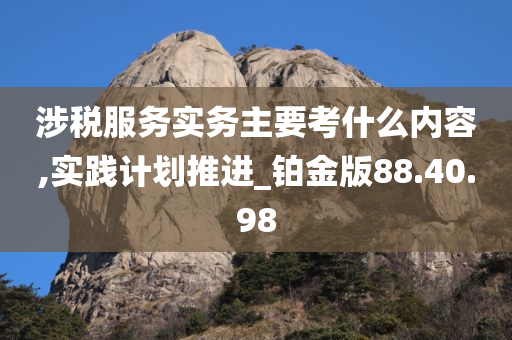 涉税服务实务主要考什么内容,实践计划推进_铂金版88.40.98