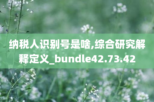 纳税人识别号是啥,综合研究解释定义_bundle42.73.42