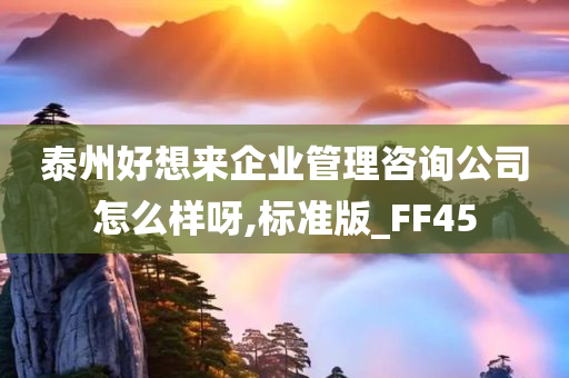 泰州好想来企业管理咨询公司怎么样呀,标准版_FF45