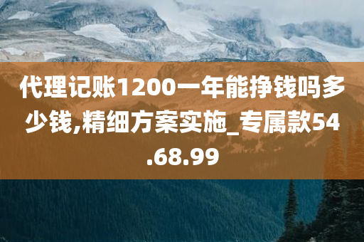 代理记账1200一年能挣钱吗多少钱,精细方案实施_专属款54.68.99