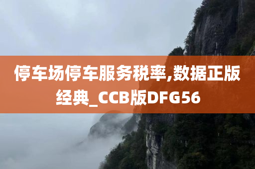 停车场停车服务税率,数据正版经典_CCB版DFG56