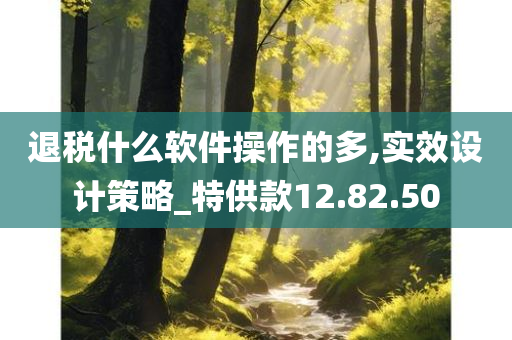 退税什么软件操作的多,实效设计策略_特供款12.82.50