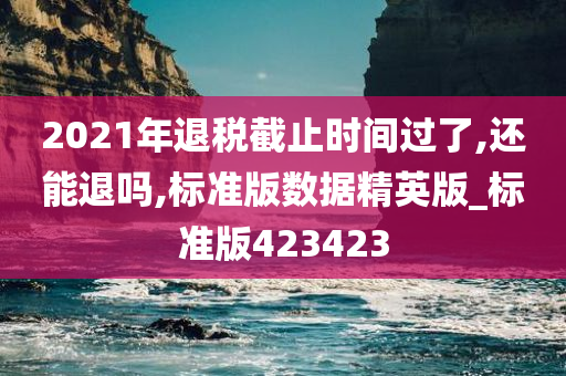 2021年退税截止时间过了,还能退吗,标准版数据精英版_标准版423423