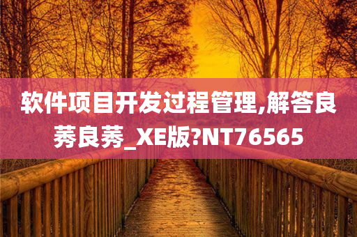 软件项目开发过程管理,解答良莠良莠_XE版?NT76565